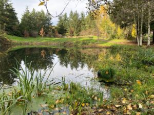 Pond view in Waterworks Gardens