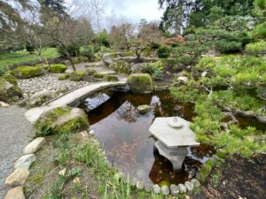 Seiki Japanese Garden