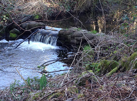 Discover Waterfalls on Our February Walk-n-Talk