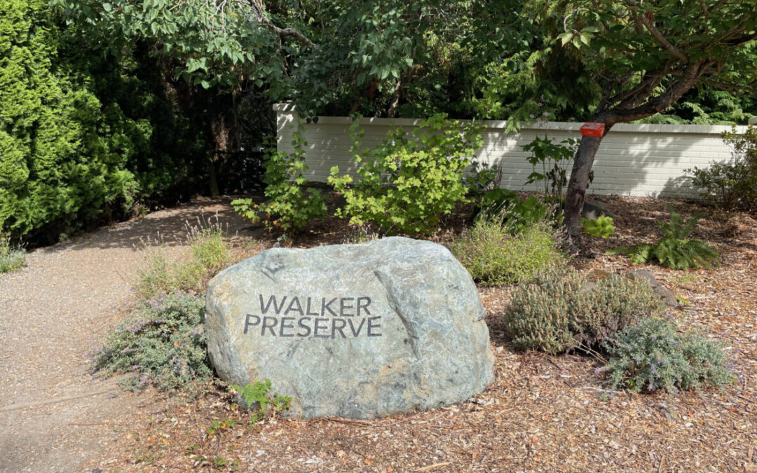 Weekday Walkers to wander through Walker Preserve