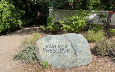 WABI Weekday Walkers in Walker Preserve Wed March 20 9am