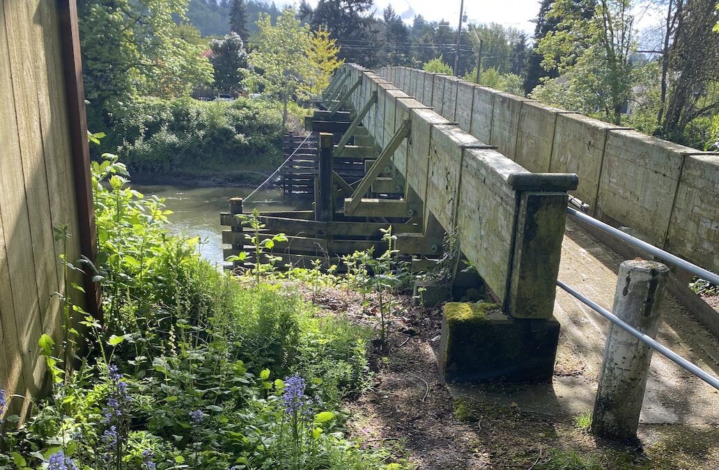 WABI Walk to Duwamish Hill Preserve on Wed. May 18 at 9am