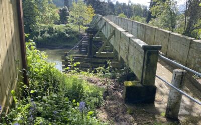 WABI Walk to Duwamish Hill Preserve on Wed. May 18 at 9am