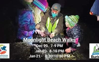 Join Moonlight Beach Walks in December and January