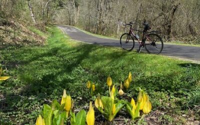 WABI Bikers to ride the Soos Creek Trail on Wed May 29 at 10am