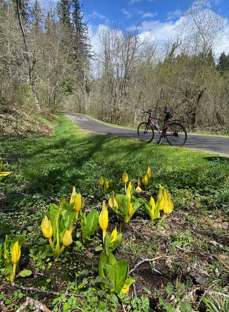 WABI Bike on Soos Creek Trail Wed April 26