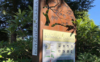 Flowering Walk-n-Talk this Sunday, July 2 in the Park and Garden