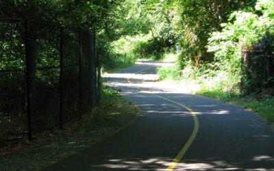 Revisit the Popular Des Moines Creek Trail with the Waterland Walkers, Sat. July 27