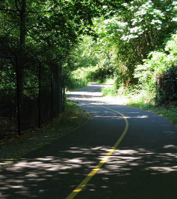 Revisit the Popular Des Moines Creek Trail with the Waterland Walkers, Sat. July 27