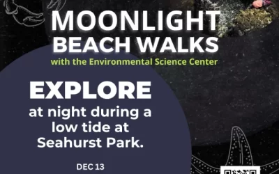 Moonlight Beach Walk on Jan. 11