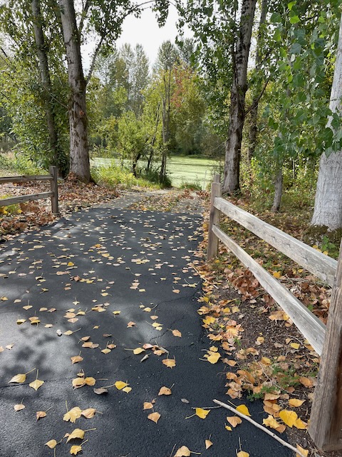 WABI Weekday Walkers in Longacres Wed Oct 15, 9am