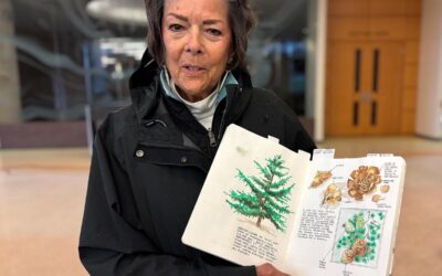 NEW! Burien Tree Walk-n-Talk on Sunday Nov. 2