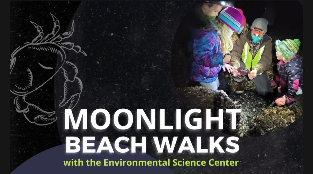 Moonlight Beach Walks return to Burien’s Environmental Science Center starting Friday, Dec. 5