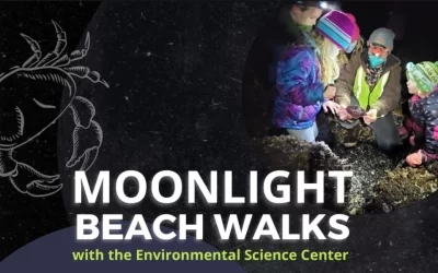 Moonlight Beach Walks return to Burien’s Environmental Science Center starting Friday, Dec. 5