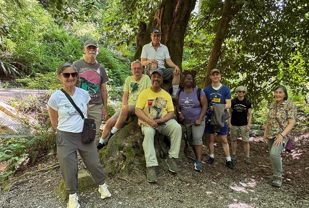 Walk-n-Talk 15-Year Anniversary!